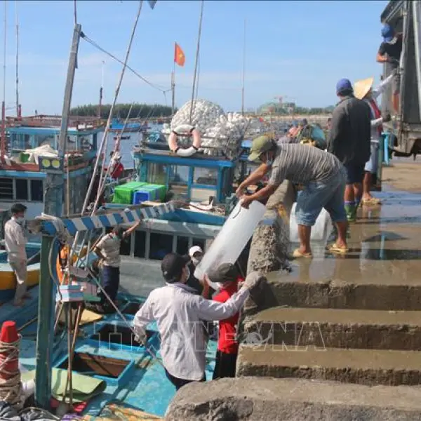 Cảng cá bình châu