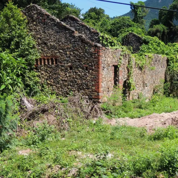 Sở Muối